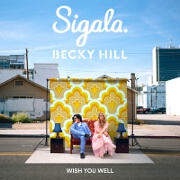Wish You Well by Sigala And Becky Hill