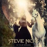In Your Dreams by Stevie Nicks