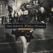 Wildest Dreams by Tina Turner