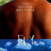 Fly Like An Eagle by Neville Brothers