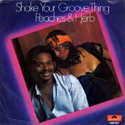 Shake Your Groove Thing by Peaches & Herb