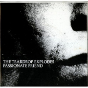 Passionate Friend by Teardrop Explodes