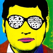 It's Great When You're Straight by Black Grape