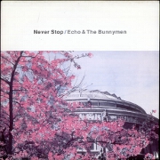 Never Stop by Echo & The Bunnymen