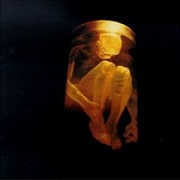 NOTHING SAFE - THE BEST OF by Alice In Chains