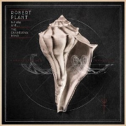 Lullaby And... The Ceaseless Roar by Robert Plant