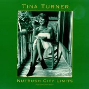 Nutbush City Limits by Tina Turner
