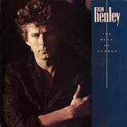 The Boys Of Summer by Don Henley