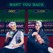 Want You Back by Grey feat. Léon