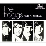 Wild Thing by The Troggs