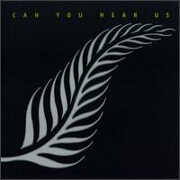 CAN YOU HEAR US by Neil Finn