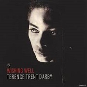 Wishing Well by Terence Trent D'Arby