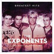 Why Does Love Do This To Me? The Greatest Hits by The Exponents