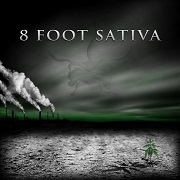 The Shadow Masters by 8 Foot Sativa
