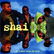 If I Ever Fall In Love by Shai