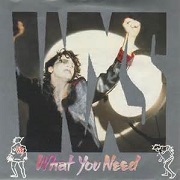 What You Need by Inxs