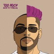 Too Much by ZAYN feat. Timbaland