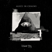 Rainier Fog by Alice In Chains