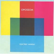 Electric Hawaii by Opossom