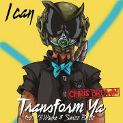 I Can Transform Ya by Chris Brown feat. Lil Wayne