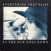 As The Sun Goes Down by Everything That Flies