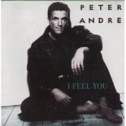 I Feel You/Mysterious Girl by Peter Andre