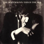 This Is The Sea by The Waterboys