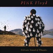 Delicate Sound Of Thunder by Pink Floyd