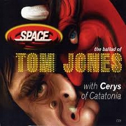 The Ballad Of Tom Jones by Space