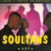 I Heard It Through The Grapevine by Soultans