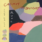 Down For You by Cosmo's Midnight And Ruel
