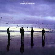 Heaven Up Here by Echo & The Bunnymen