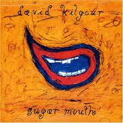 Sugar Mouth by David Kilgour