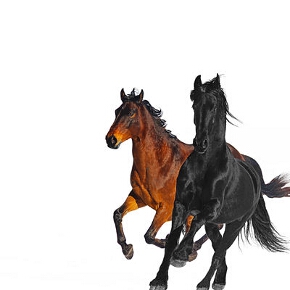 Old Town Road (Remix) by Lil Nas X feat. Billy Ray Cyrus
